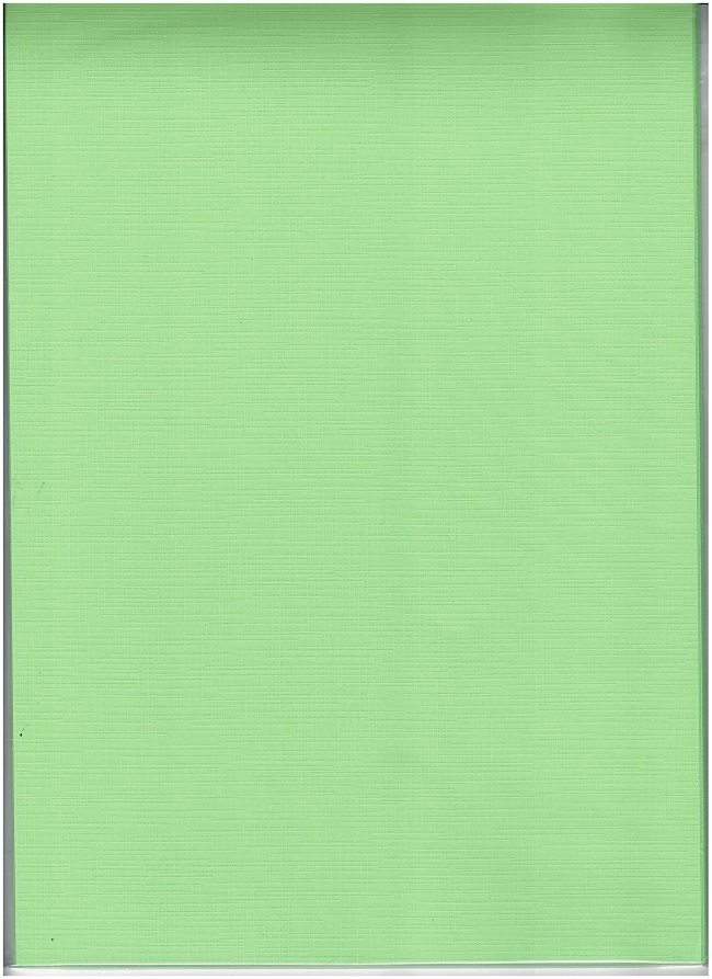 CraftEmotions linnenkarton 10 vel grasgroen 27x13,5cm 250gr